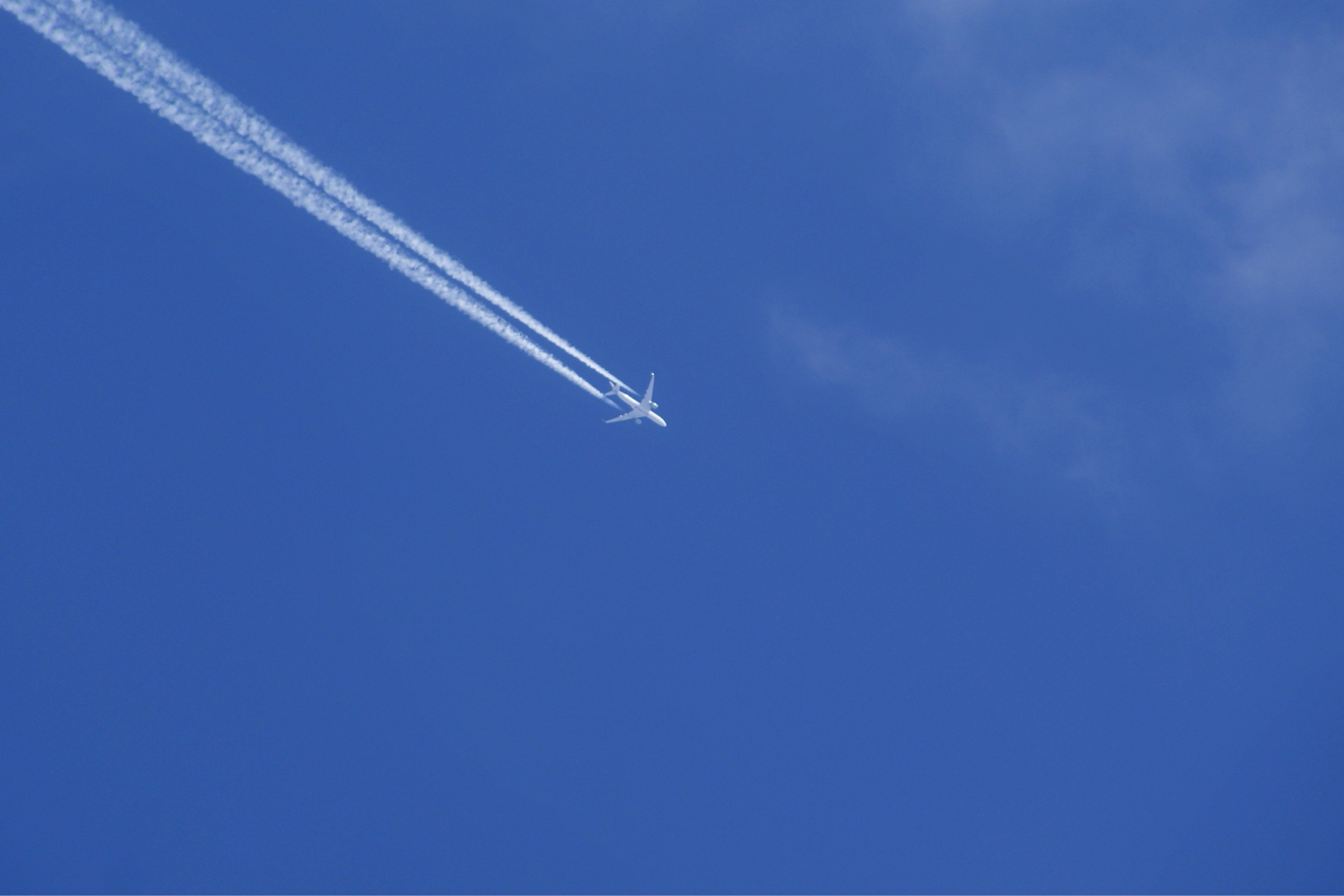 Why Am I Always Bloated on Holiday? Understanding Travel Bloating and How to Support Your Gut