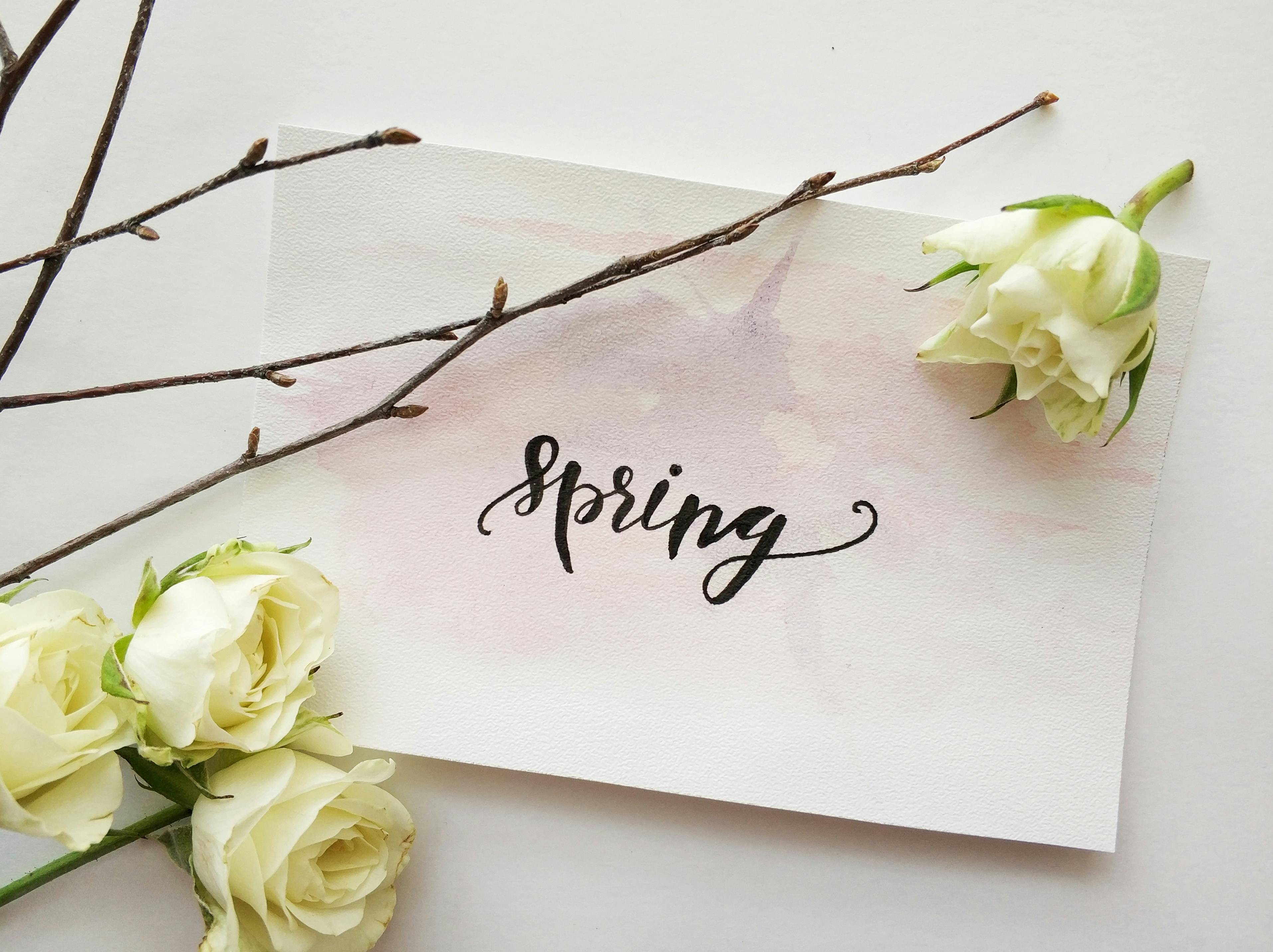Spring Cleaning for Your Health & Mind: A Gentle Preparation for a New Season.